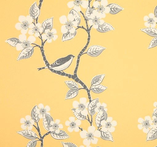 Song Birds Wallpaper Traditional Other Metro By