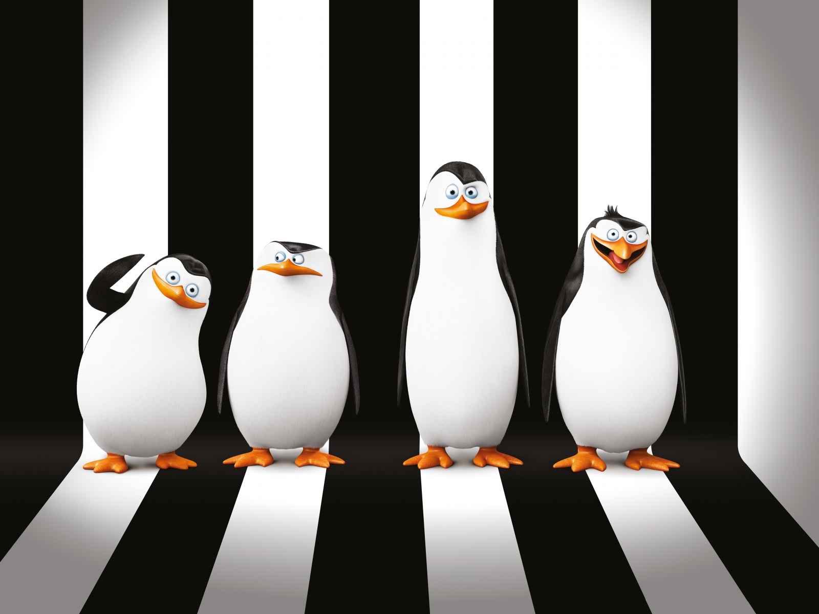 Penguins Of Madagascar Desktop Wallpaper