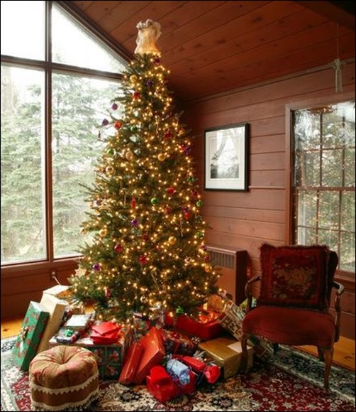 Beautiful Christmas Tree Pictures Creative Cancreative Can