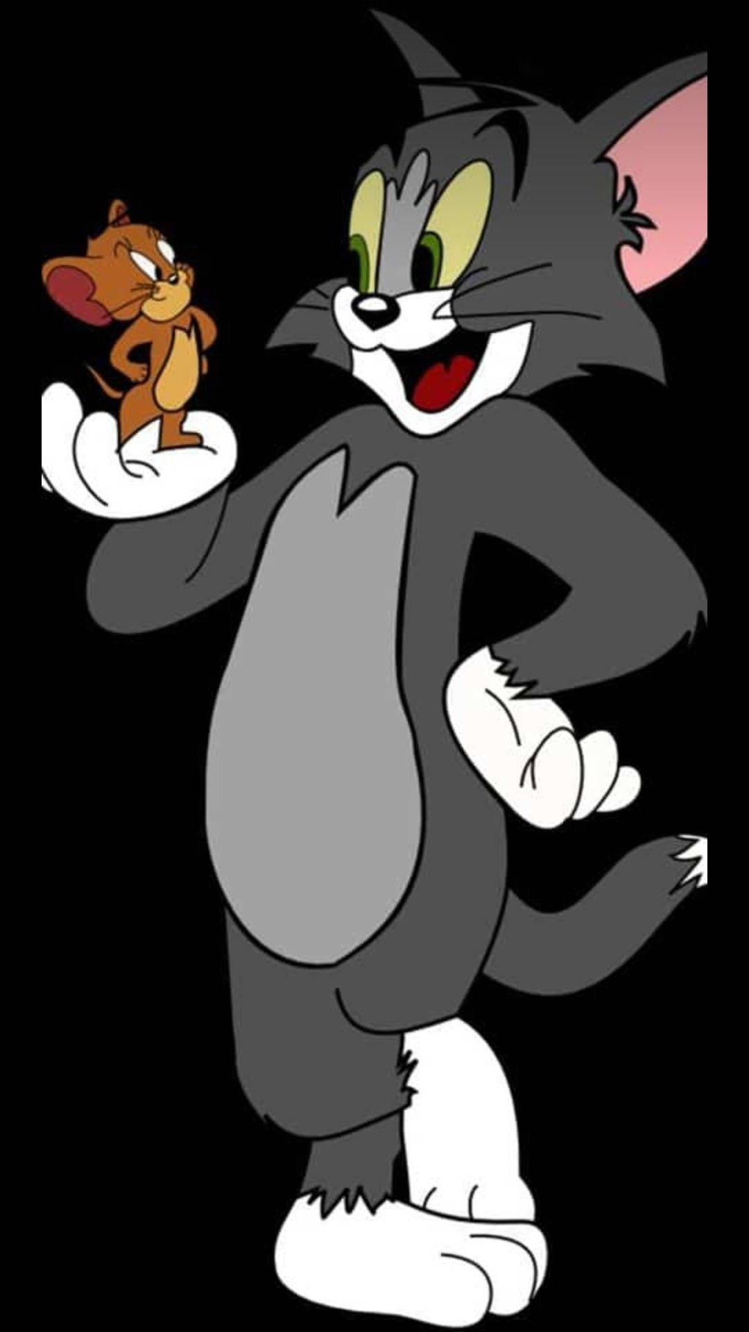 Tom And Jerry Cartoons Wallpaper