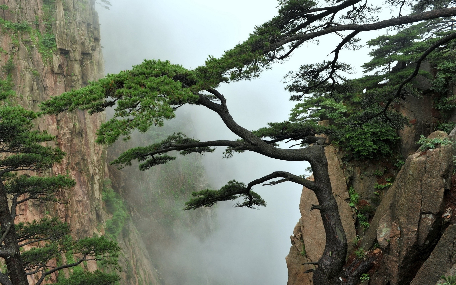 Mountains Trees Fog Mist Asian Oriental Clouds Wallpaper Background