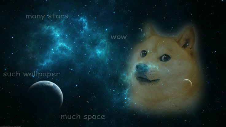 doge memecom Wallpapers for computers Pinterest
