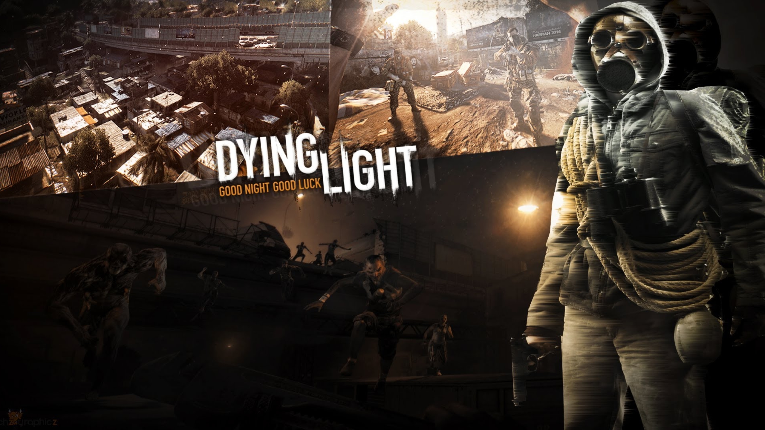 Dying Light Survival Horror Action 1440p Resolution