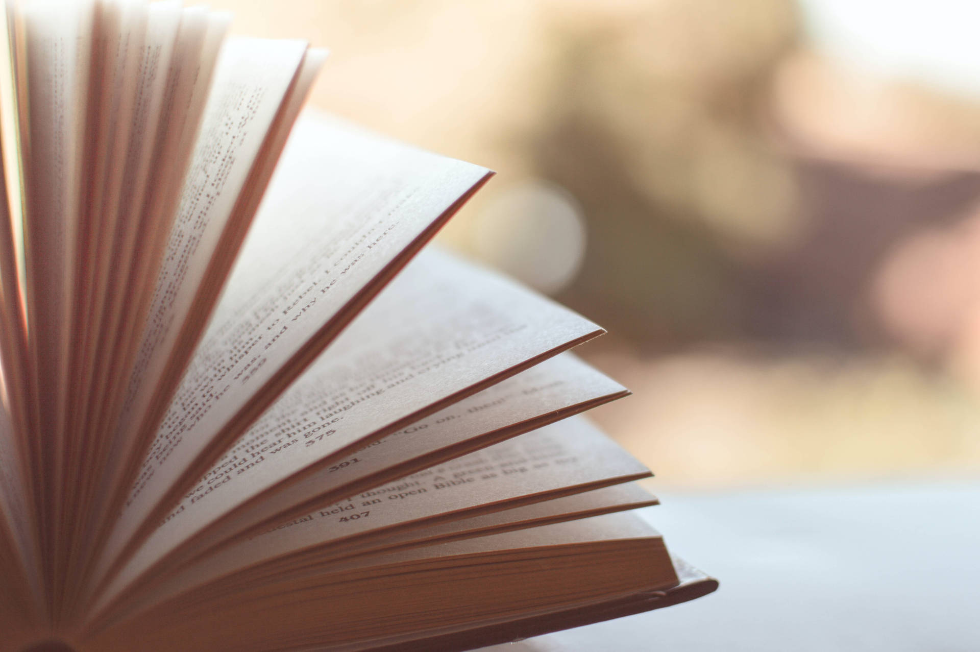 Book Aesthetic Wallpaper
