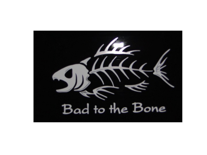 Car Decals Patches Stickers Bad To The Bone Fish Premium Vinyl