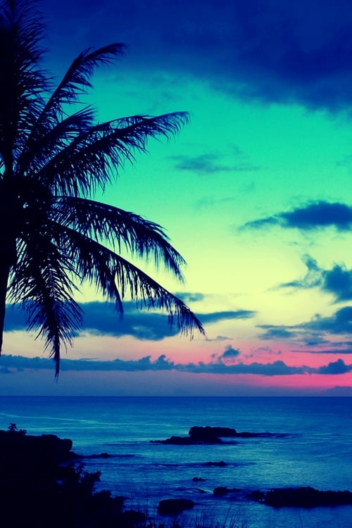 Free Download Tropical Sunset Background Islands Beaches Pinterest