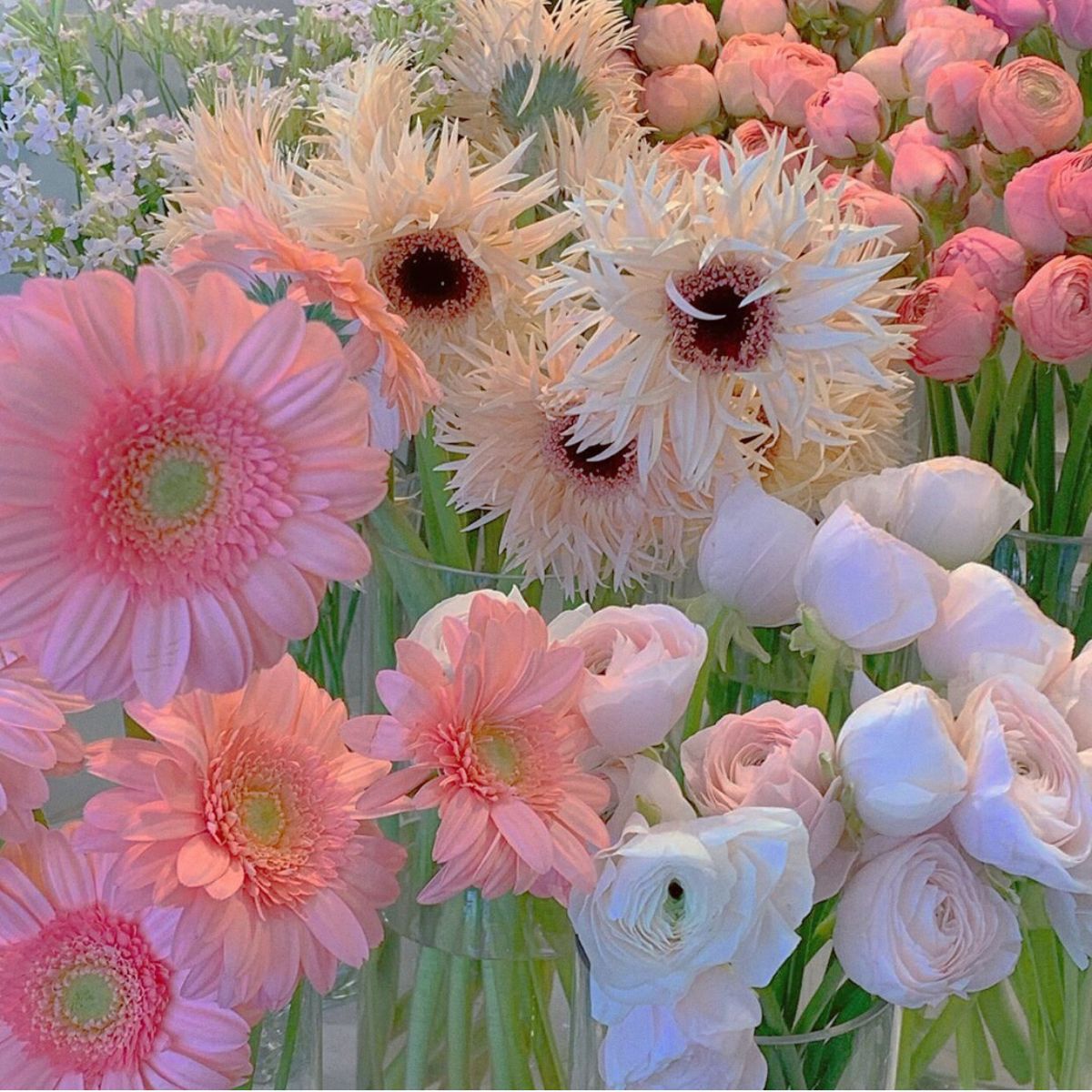 Flower Aesthetic Wallpaper