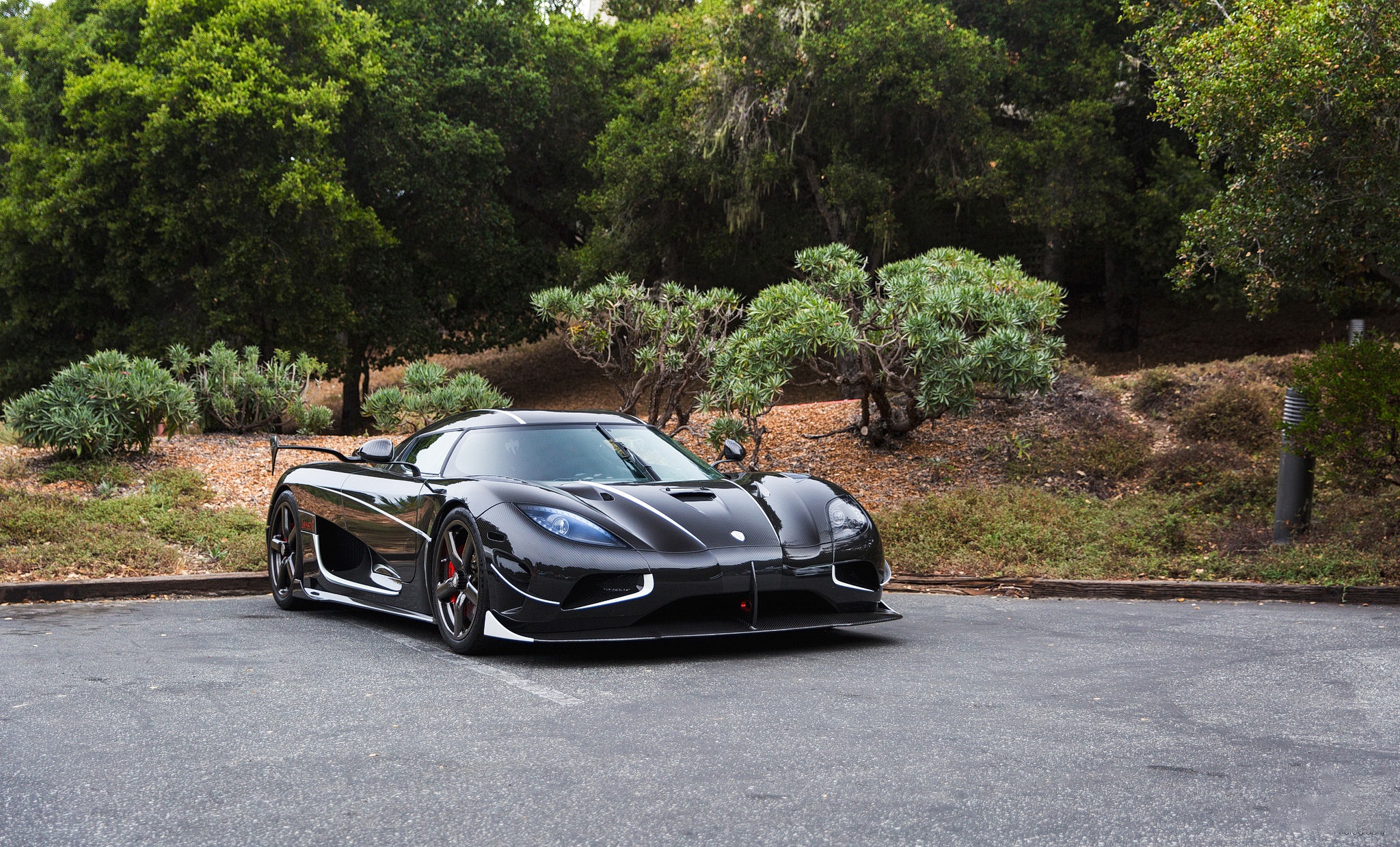 A sleek black Koenigsegg Agera RS parked in a wooded area, showcasing its elegant design and powerful presence