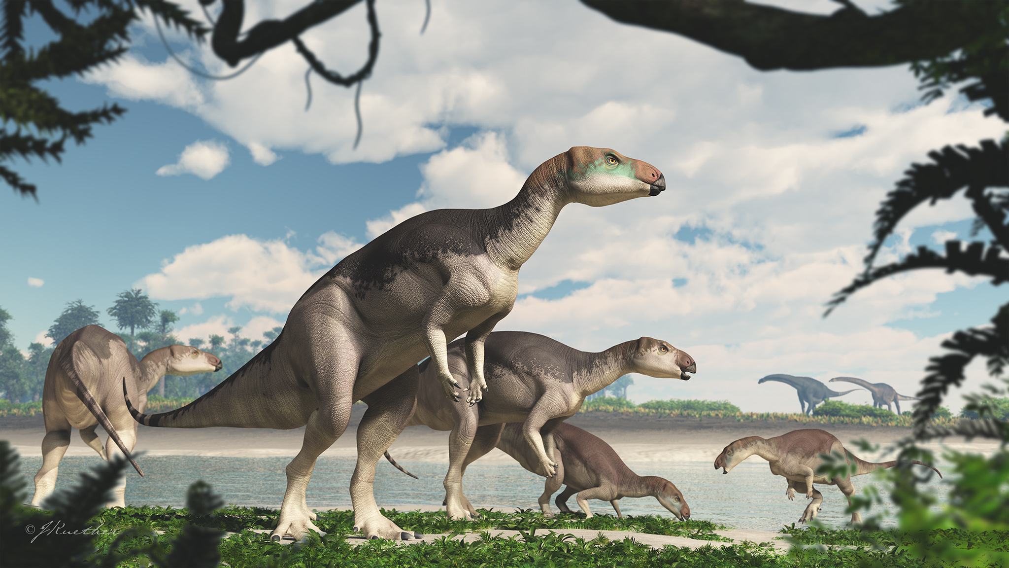 Exclusive Gem Like Fossils Reveal Stunning New Dinosaur Species