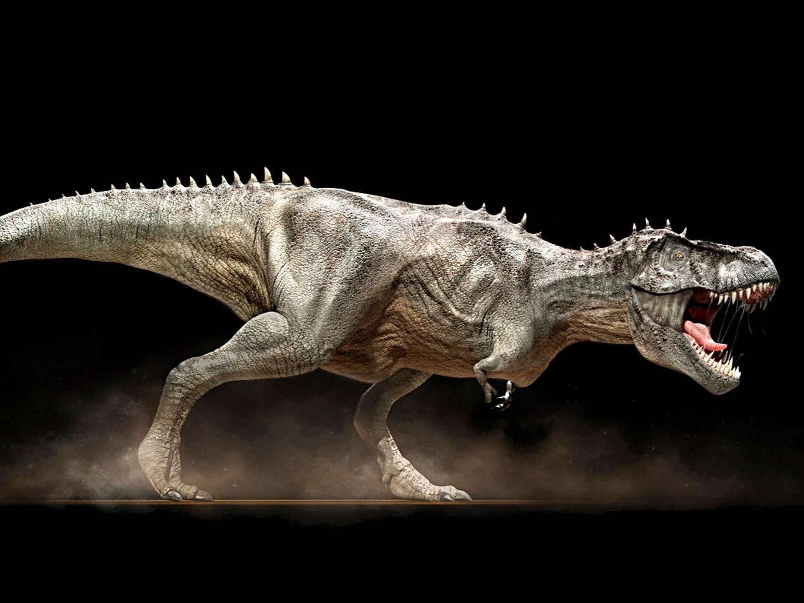 Dinosaurs HD Wallpapers 1600x1200