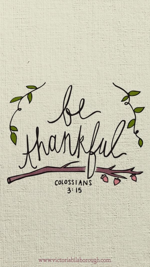 Fresh Farmhouse Words Thanksgiving iPhone Wallpaper Bible