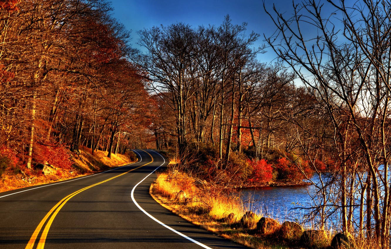 River In The Road Side Wallpaper