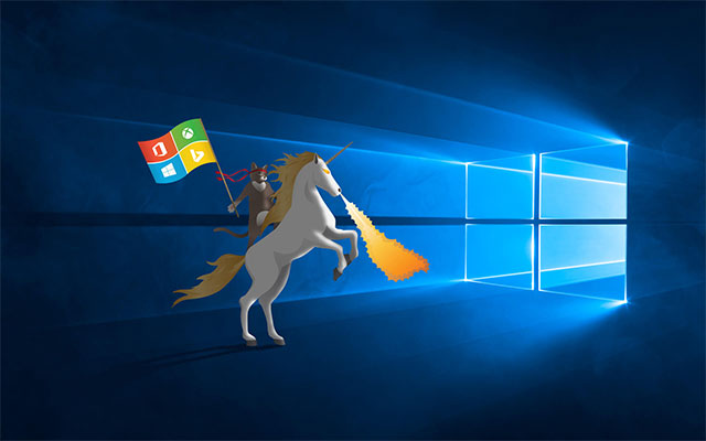 Cool Ninja Cat Wallpaper For Microsoft Windows
