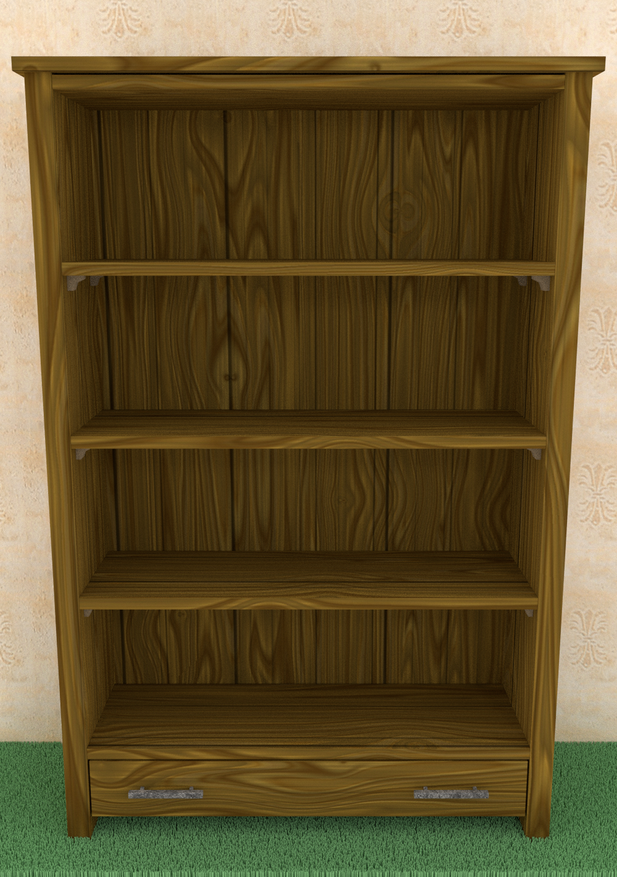 An Empty Bookshelf By Thebigdavec