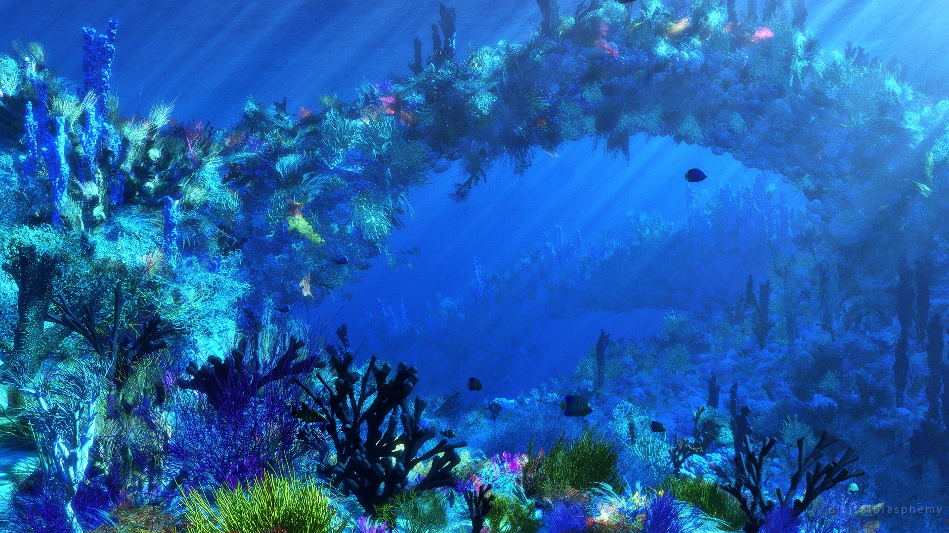 Ocean Tropical Fish Underwater Wallpaper