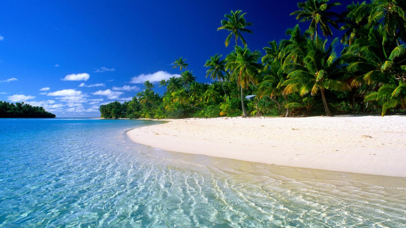 Wallpaper With Beautiful Tropical Nature HD For