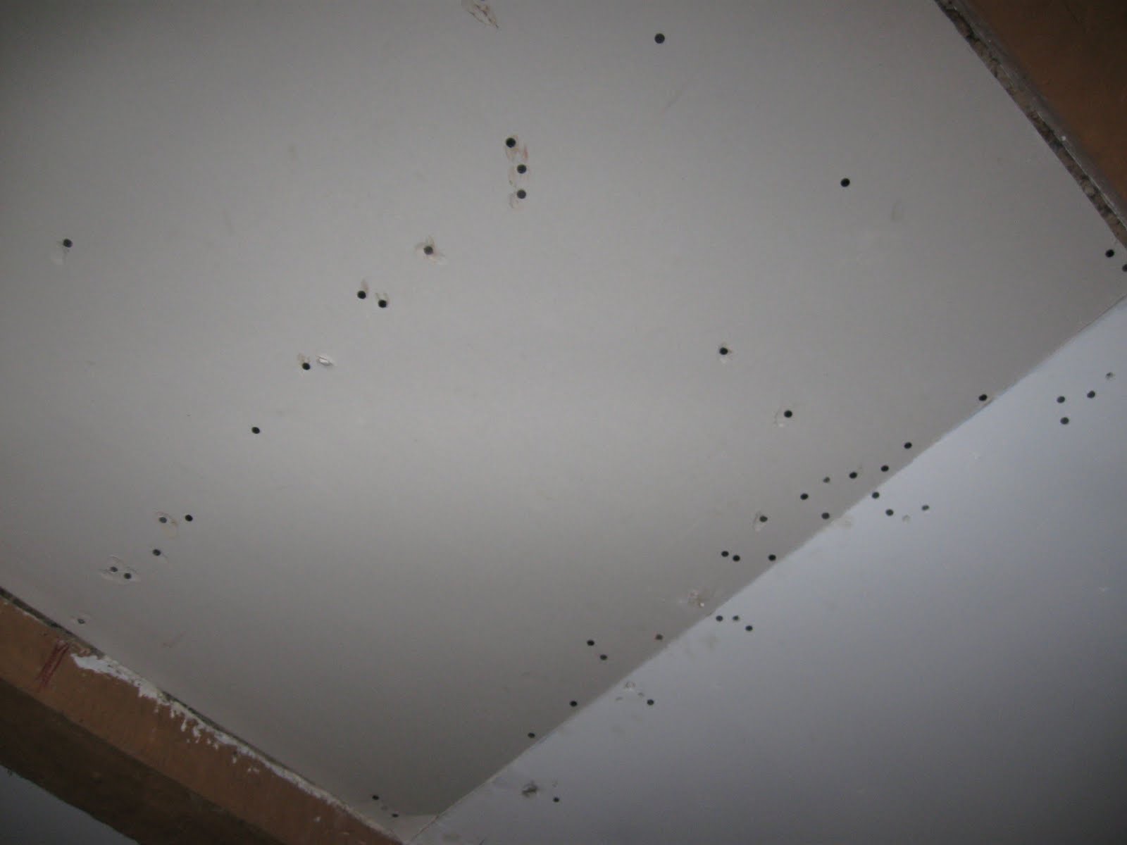 Using drywall screws put that sucker up so its NEVER coming back 1600x1200