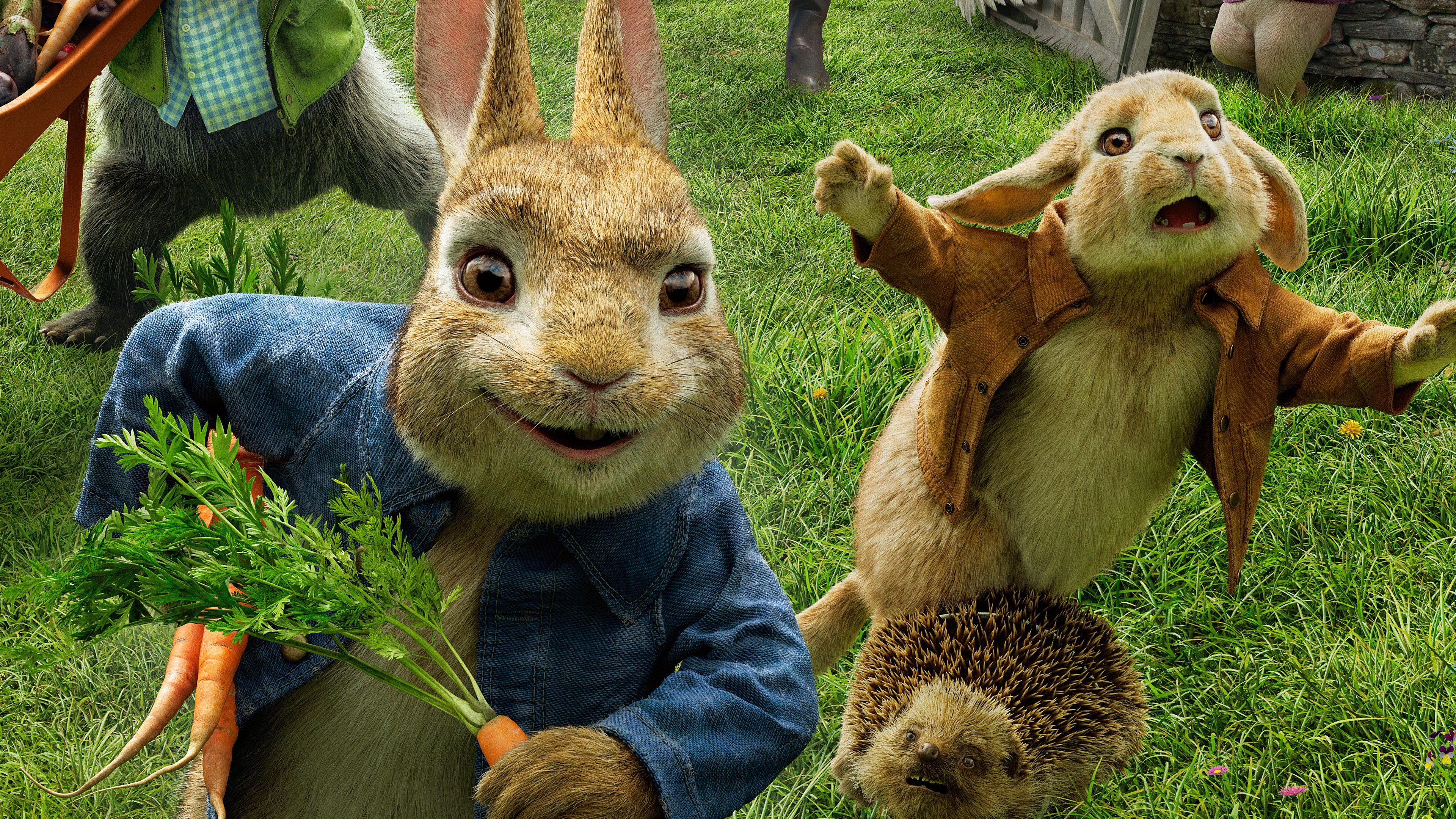 Peter Rabbit 4K 8K HD Wallpaper