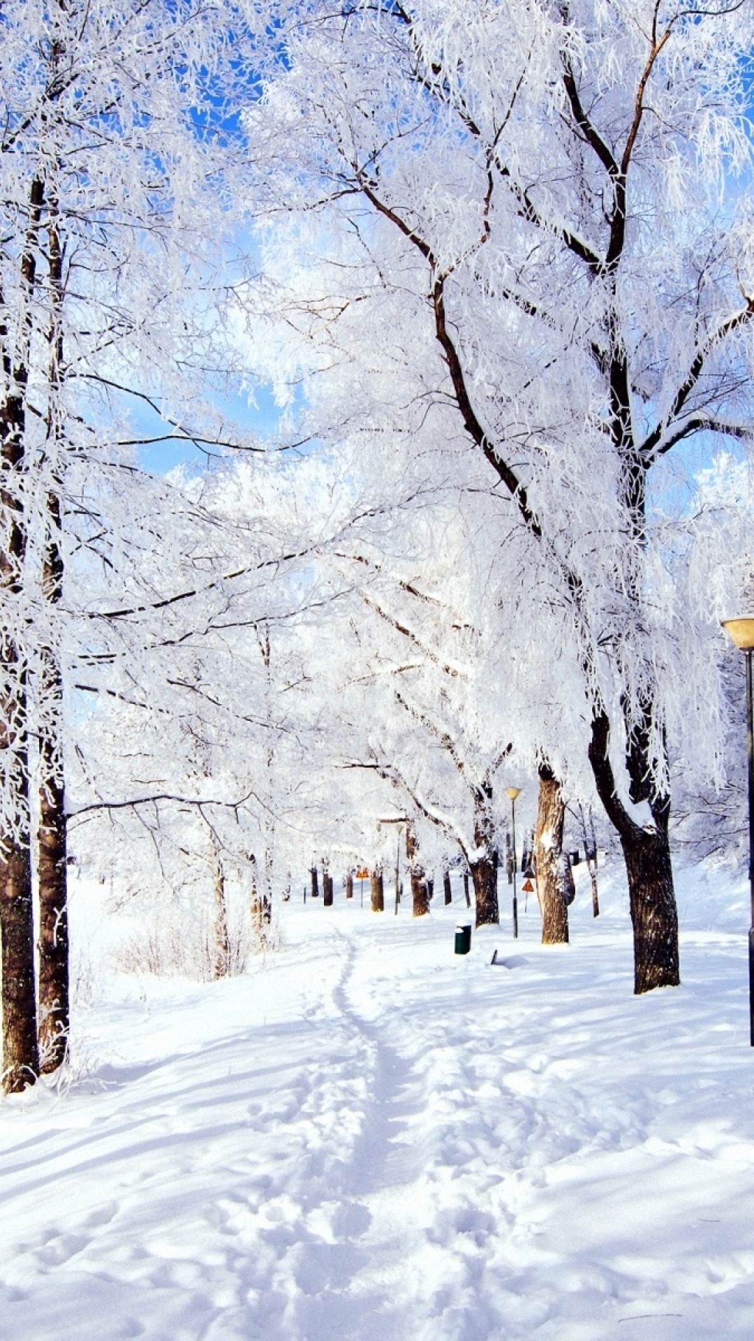 Snow Winter Wallpaper