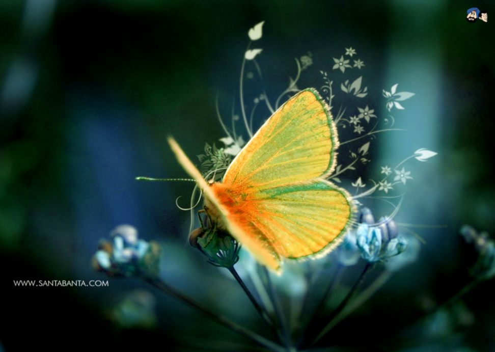 Innovative Wallpaper On