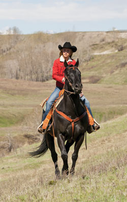 Horses Of Heartland Canadian Cowboy Country Magazine