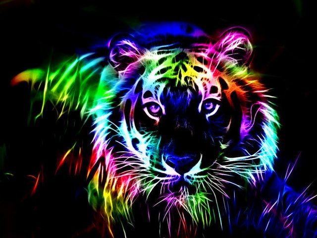 Rainbow Tiger By Fizzy Sprite