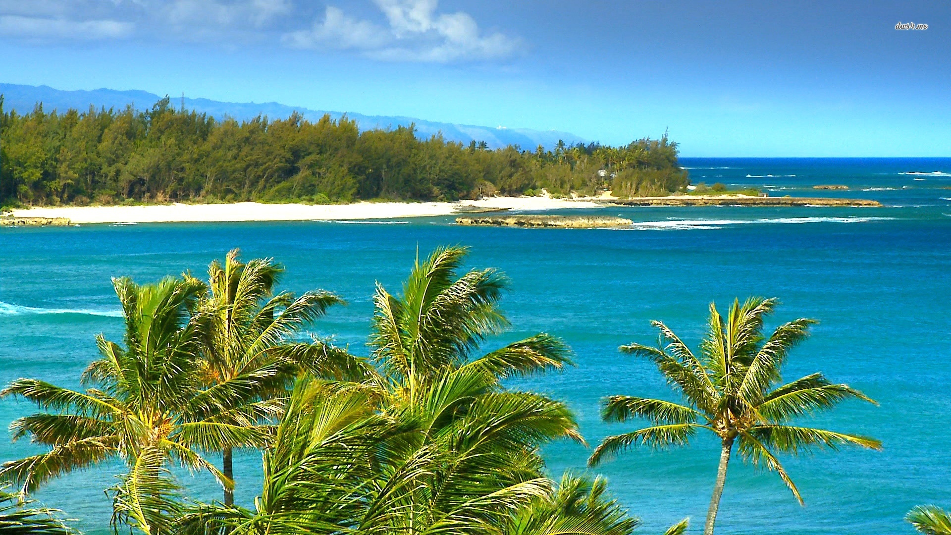Windy Beach In Hawaii Desktop Background For HD Wallpaper
