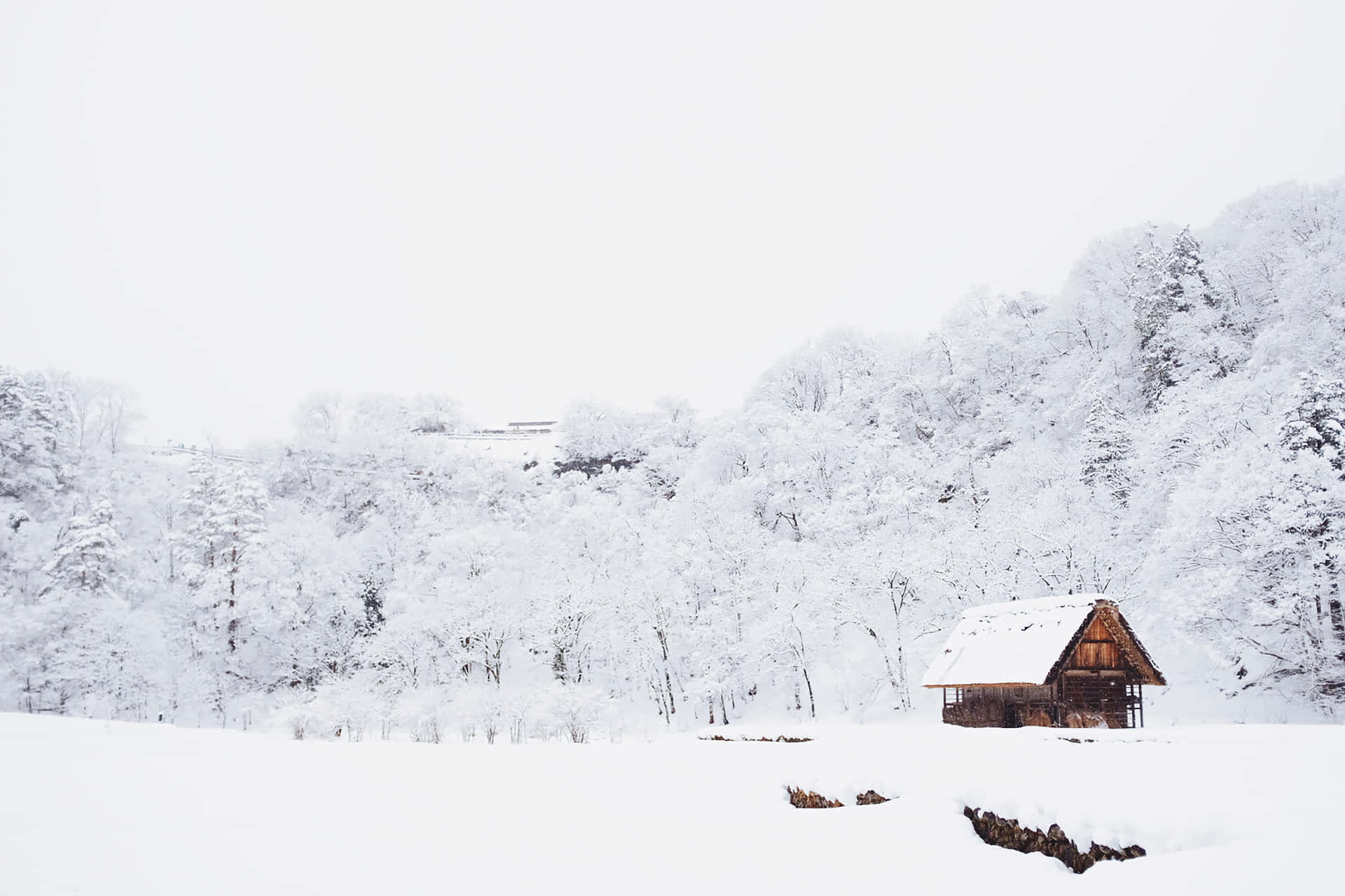 Winter Snow Desktop Wallpaper