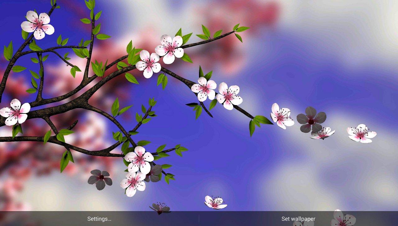 Stunning 3d Parallax Effect Features Beautiful Cherry Blossoms That