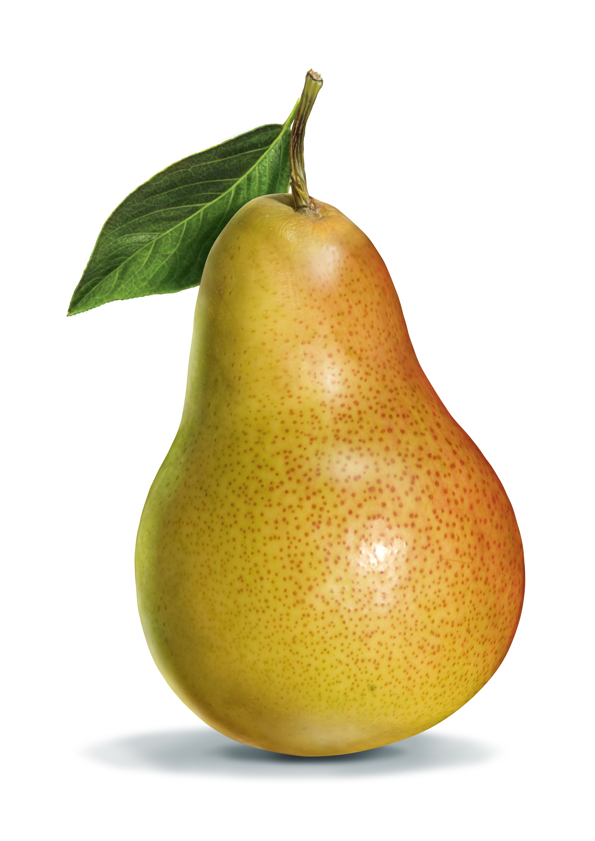 Pear HD Desktop Wallpaper