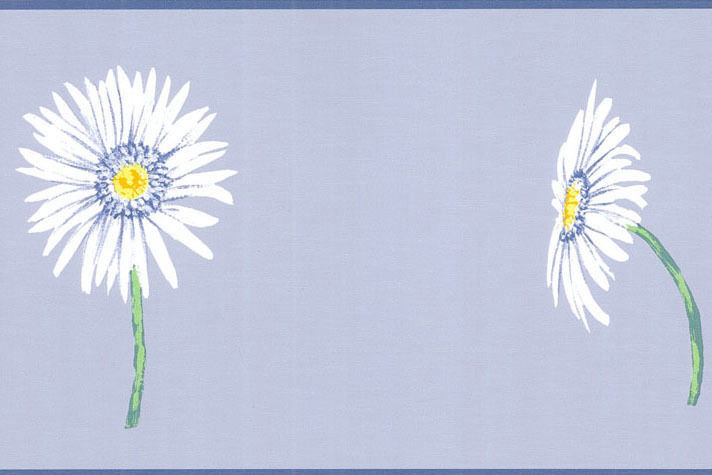 Blue White Gerbera Daisy Flower Floral Sunflower Wall Paper Border