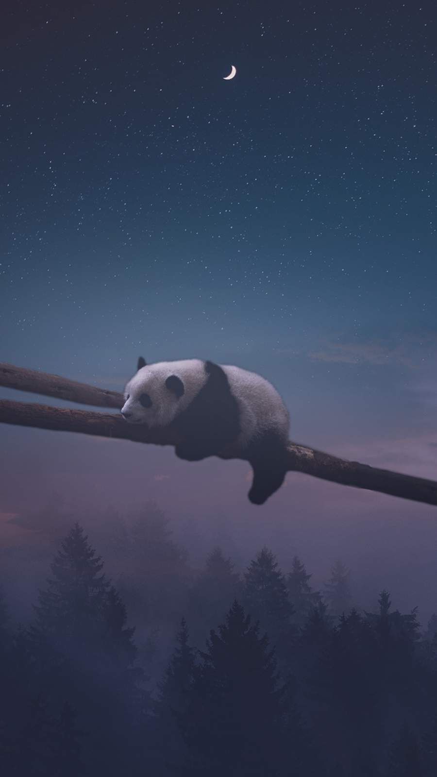 Sleeping Panda iPhone Wallpaper Cute