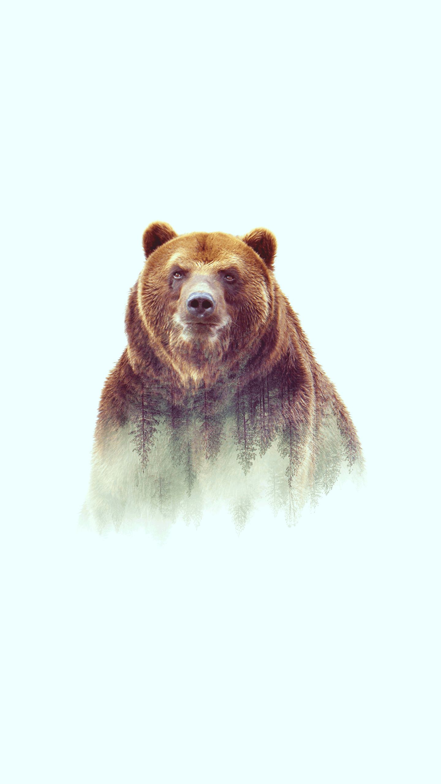 Grizzly Bear Art iPhone Wallpaper