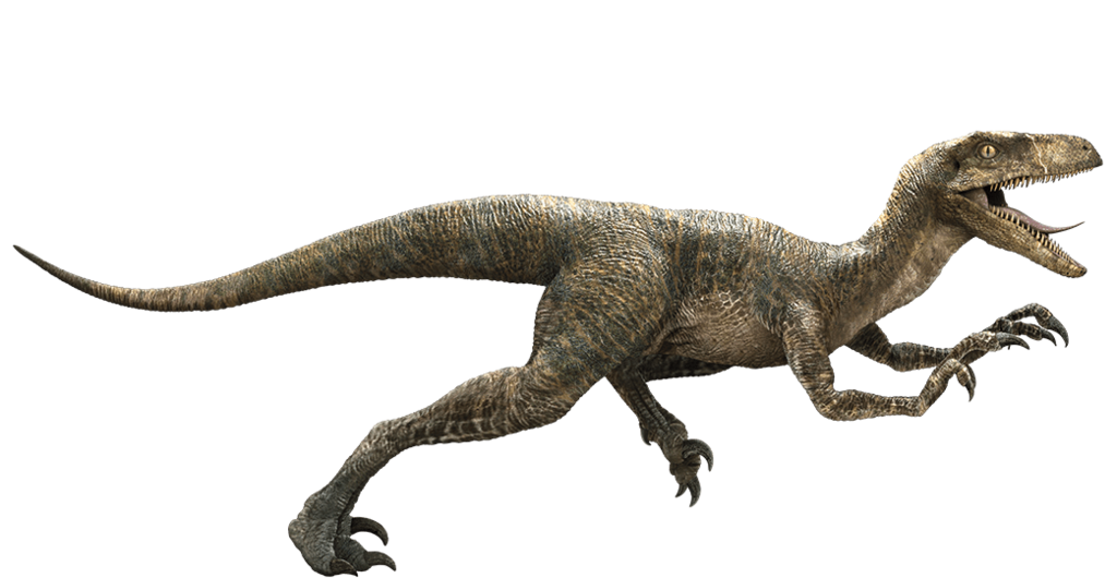 Jurassic World Velociraptor By Sonichedgehog2