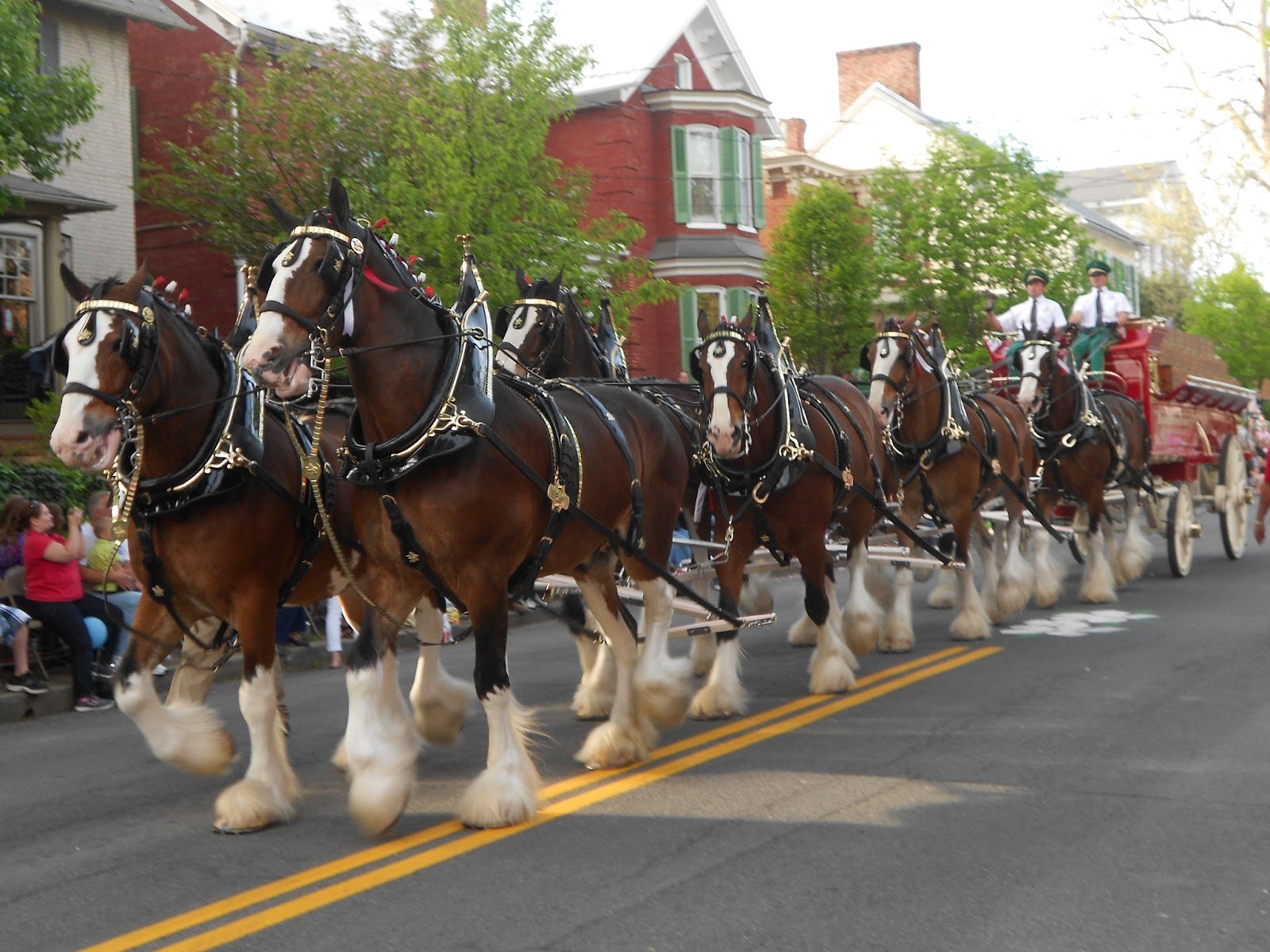 Budweiser Clydesdale Wallpaper Images Pictures   Becuo