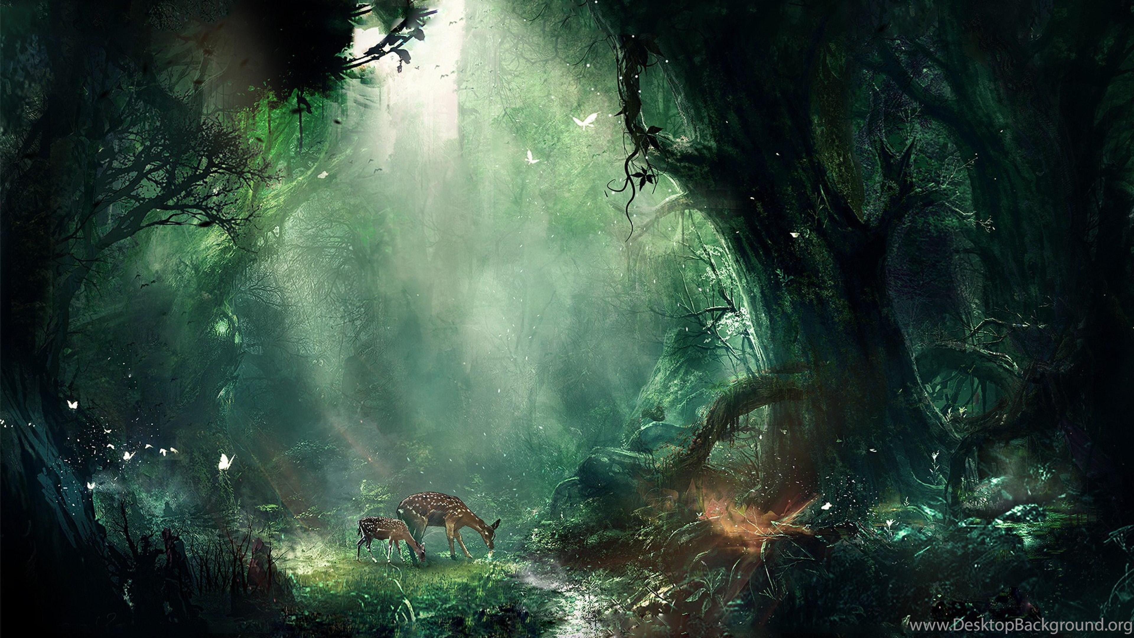Fantasy Forest Ultra HD 4k Wallpaper High Quality