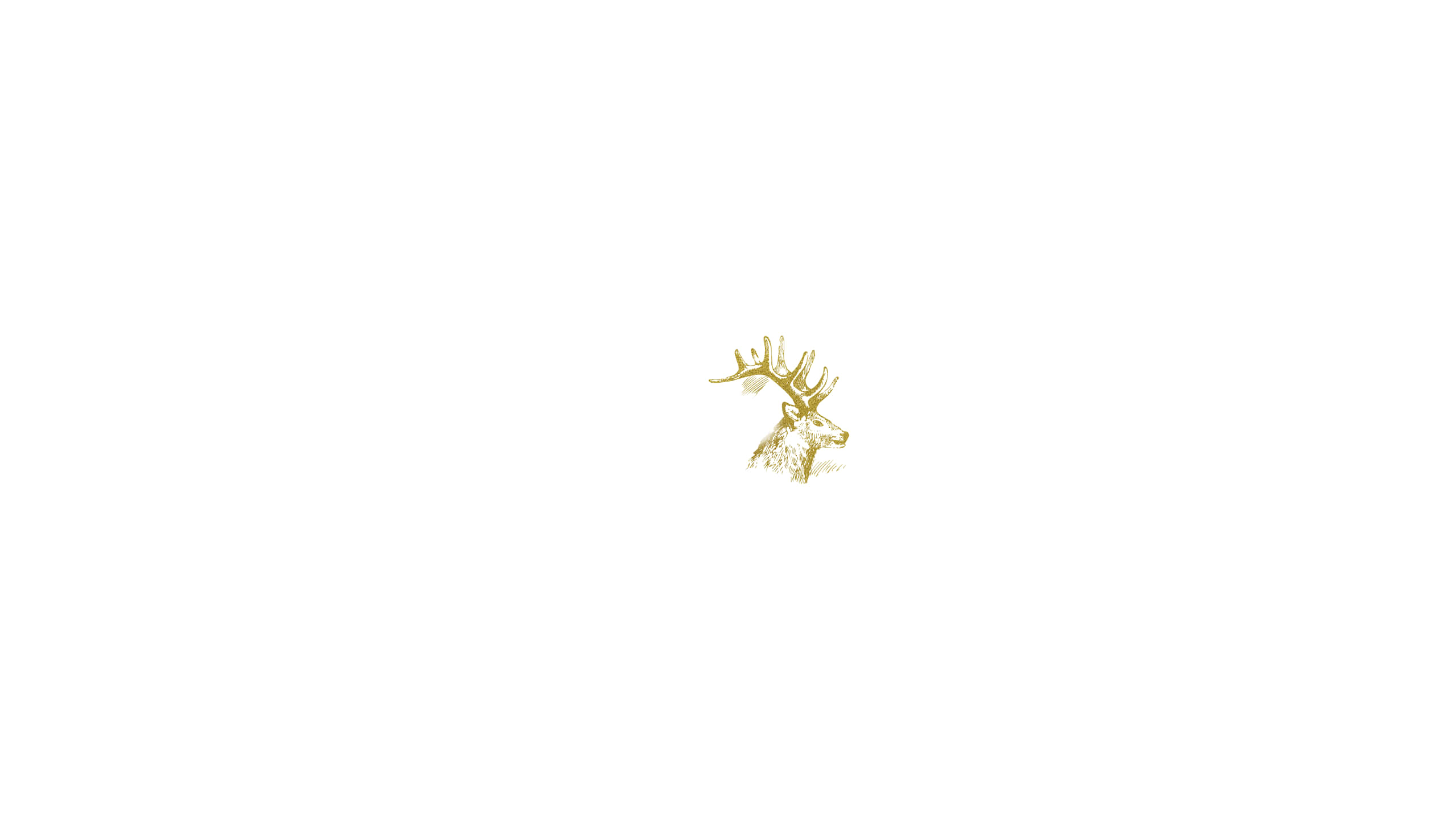 White Aesthetic Background Wallpaper