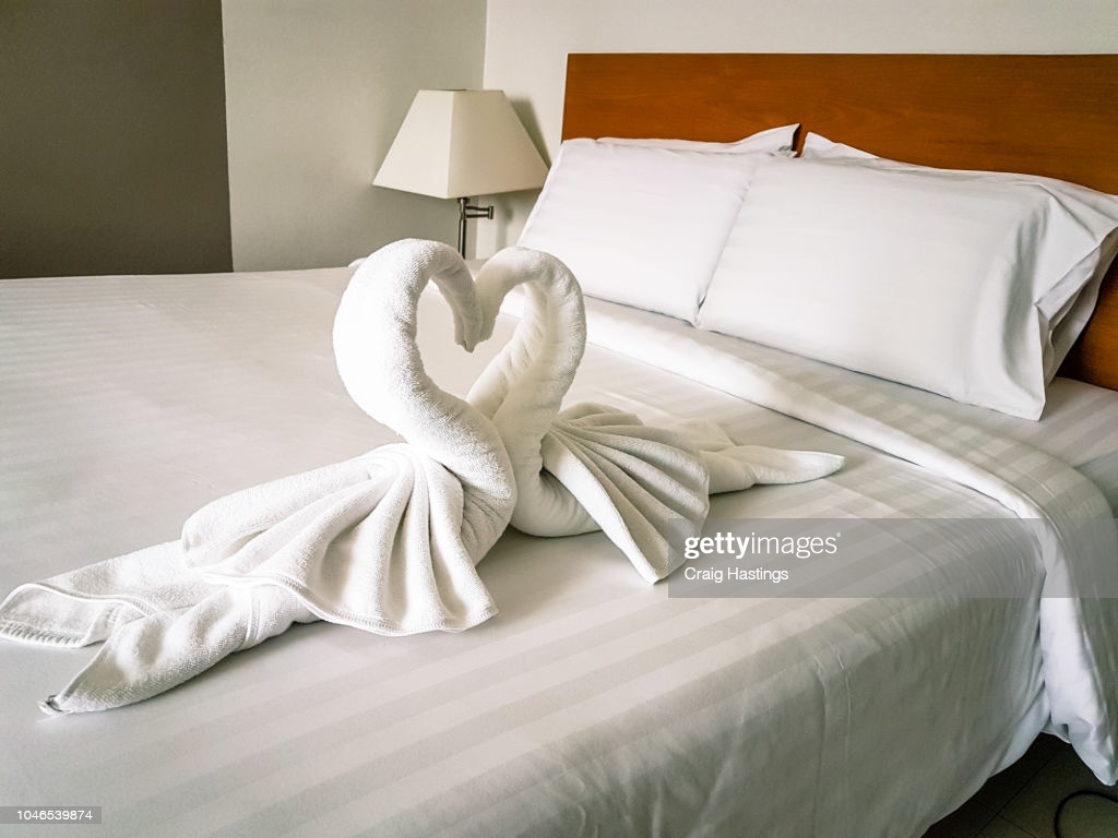 Shot Of Hotel Room Towels In Swan Shapes Towel Art Maid Service