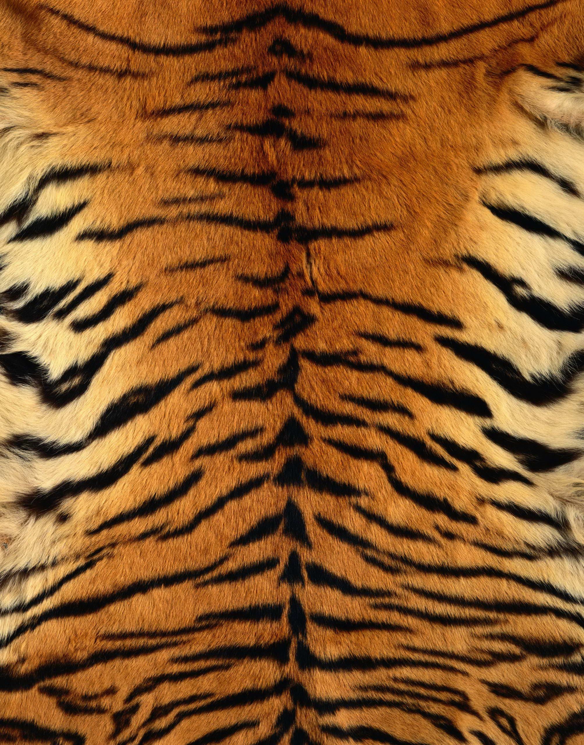 Animal Fur Wallpaper On
