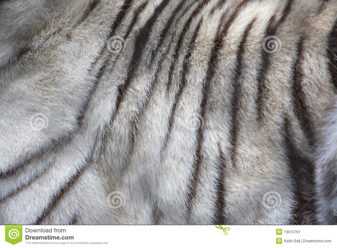 Pin Tiger Fur Background Wallpaper