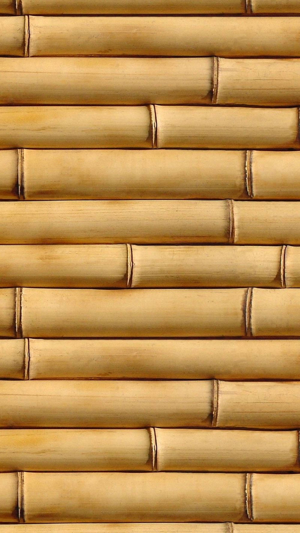 Bamboo Pattern iPhone Wallpaper