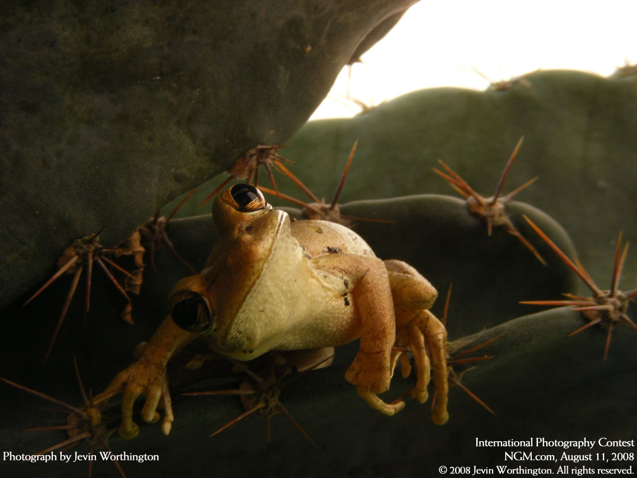 This Final Shot From National Geographic Unfortunately Breaks With My