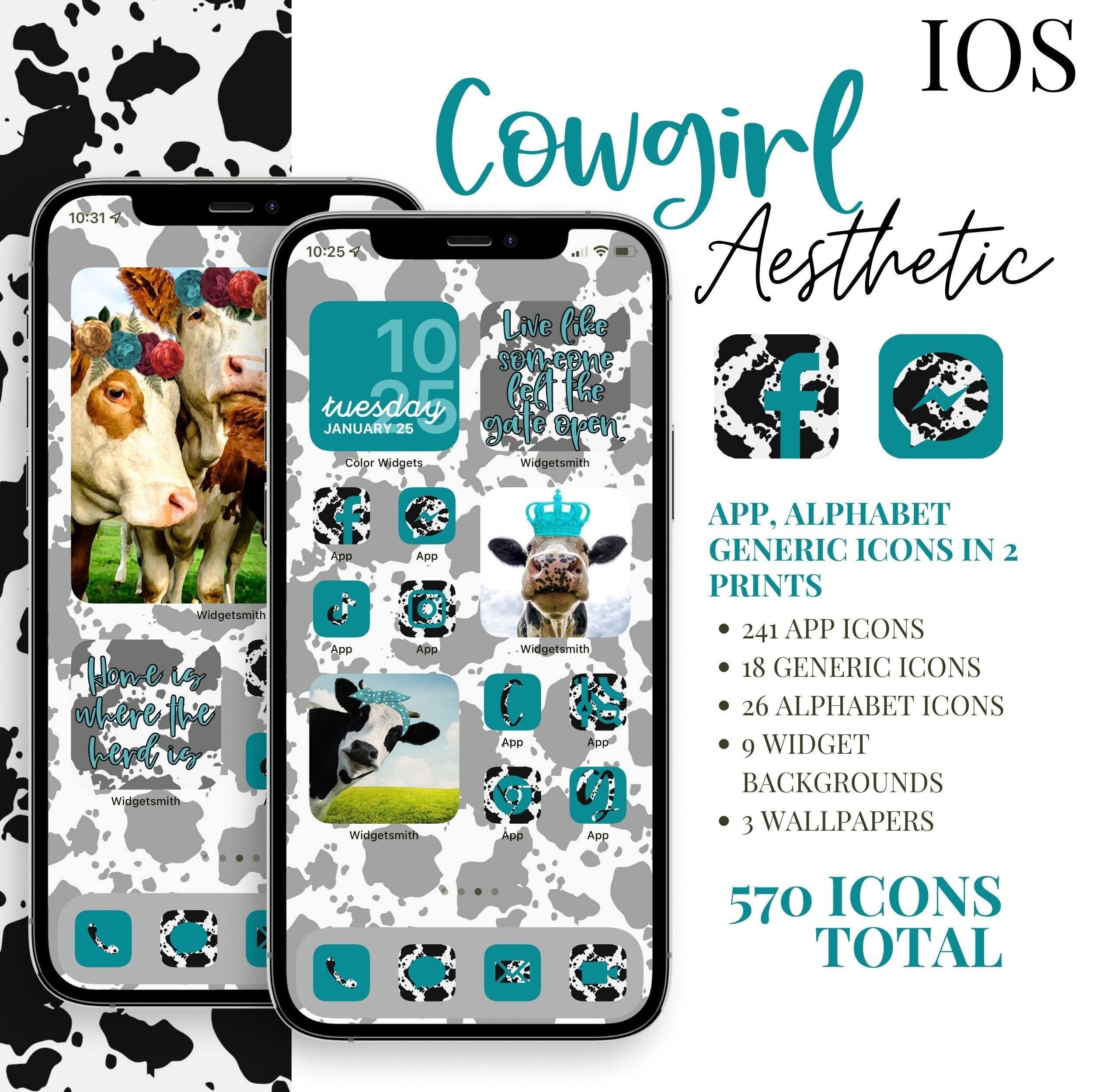 Ios Cowgirl Aesthetic iPhone Pack Icons Widget Pics