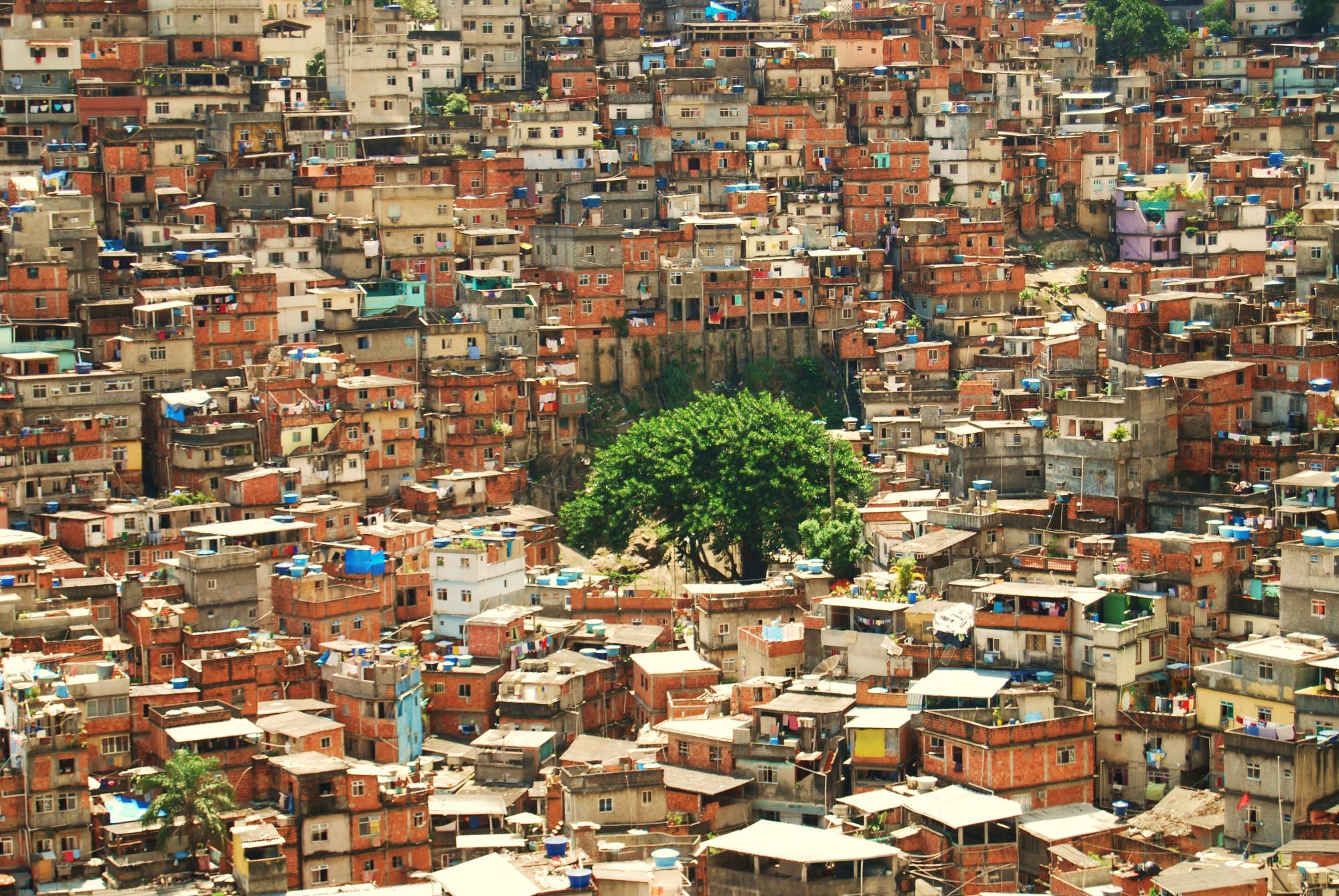 Favela In Brazil Colouring S