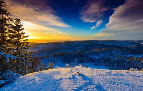 Wallpaper Norway Winter Sunny Day Nature