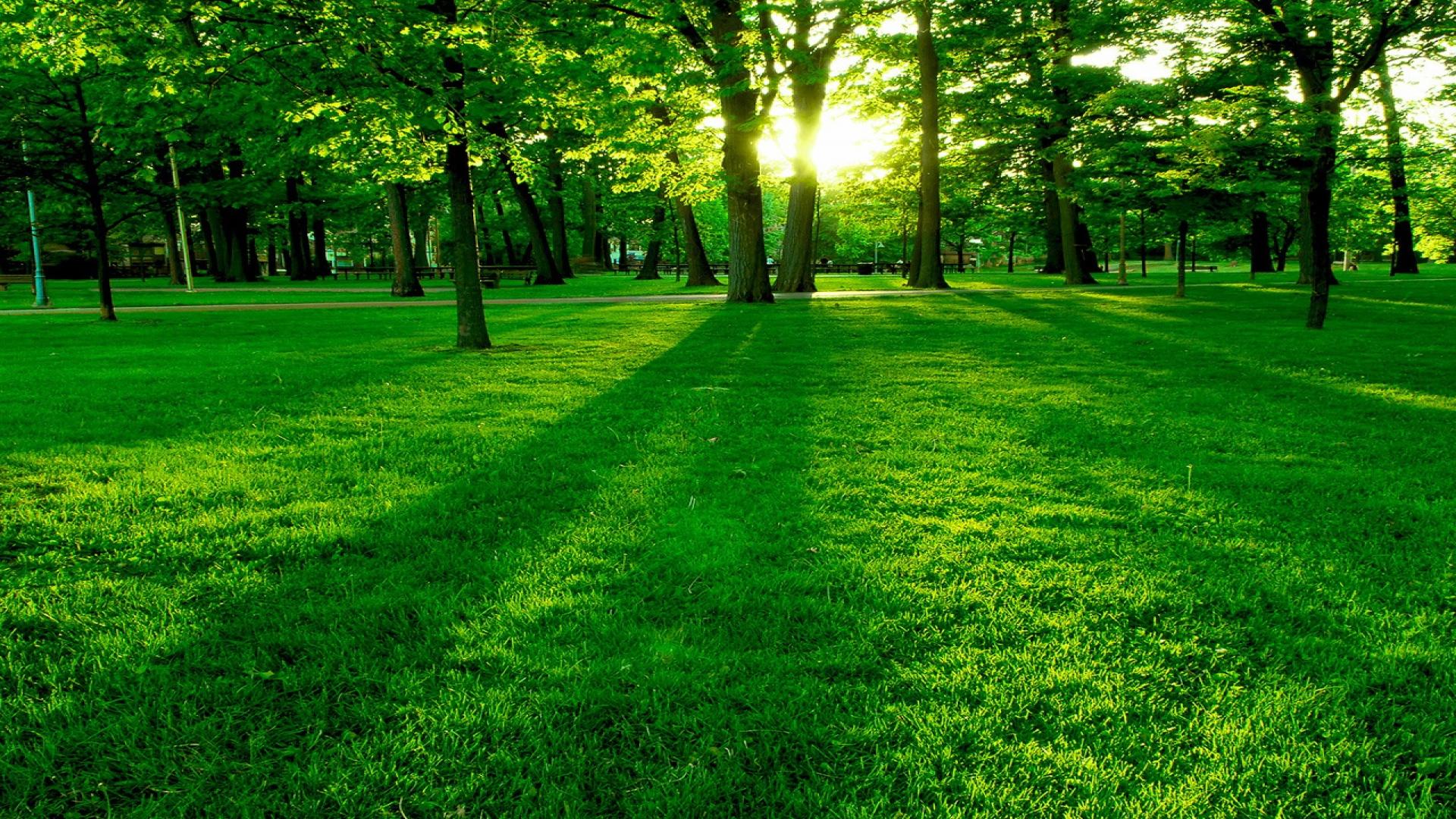 Hd Wallpaper Cool Wallpapers, Green Image Landscaping