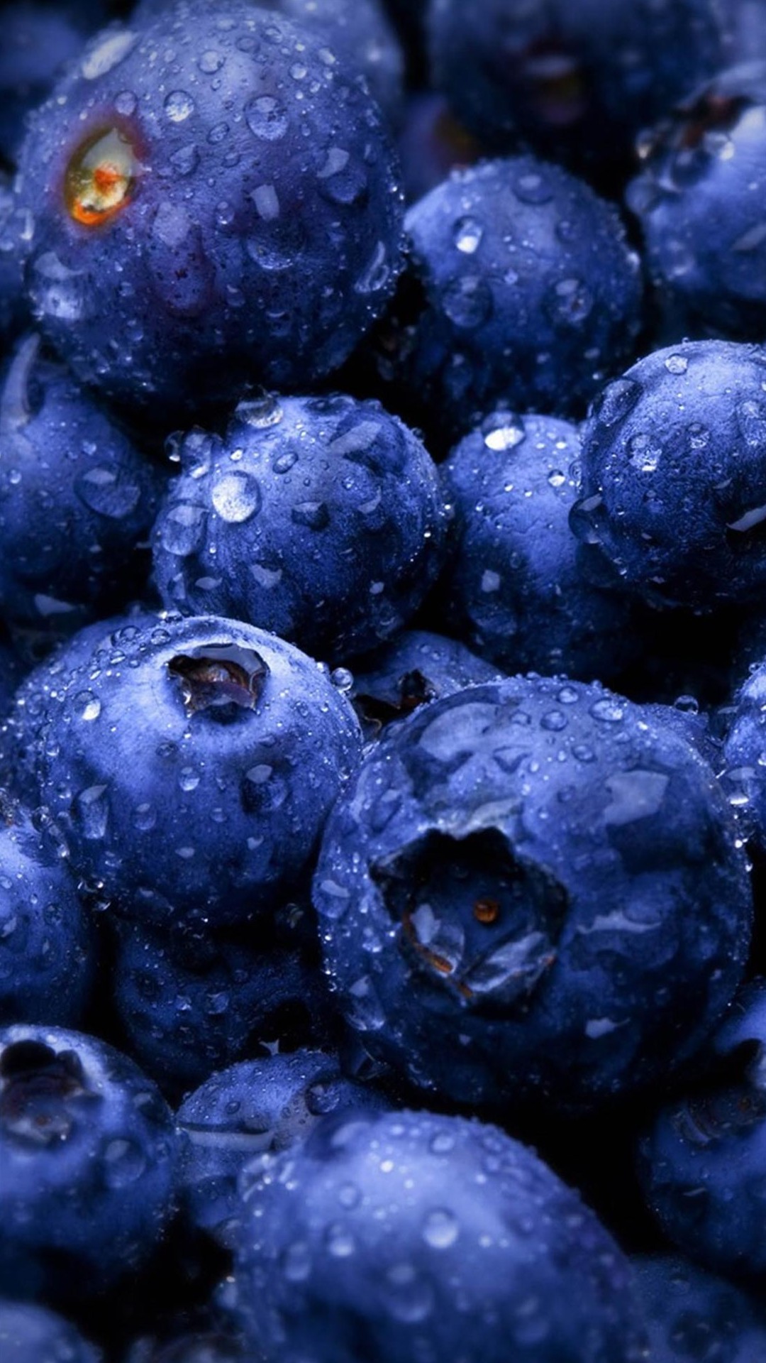 HD Blueberries Fruit Water Drops Android Wallpaper free download