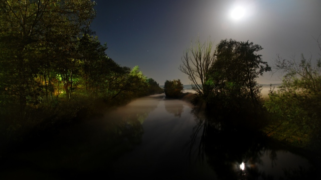 Wallpaper moon light night darkness river trees water HD