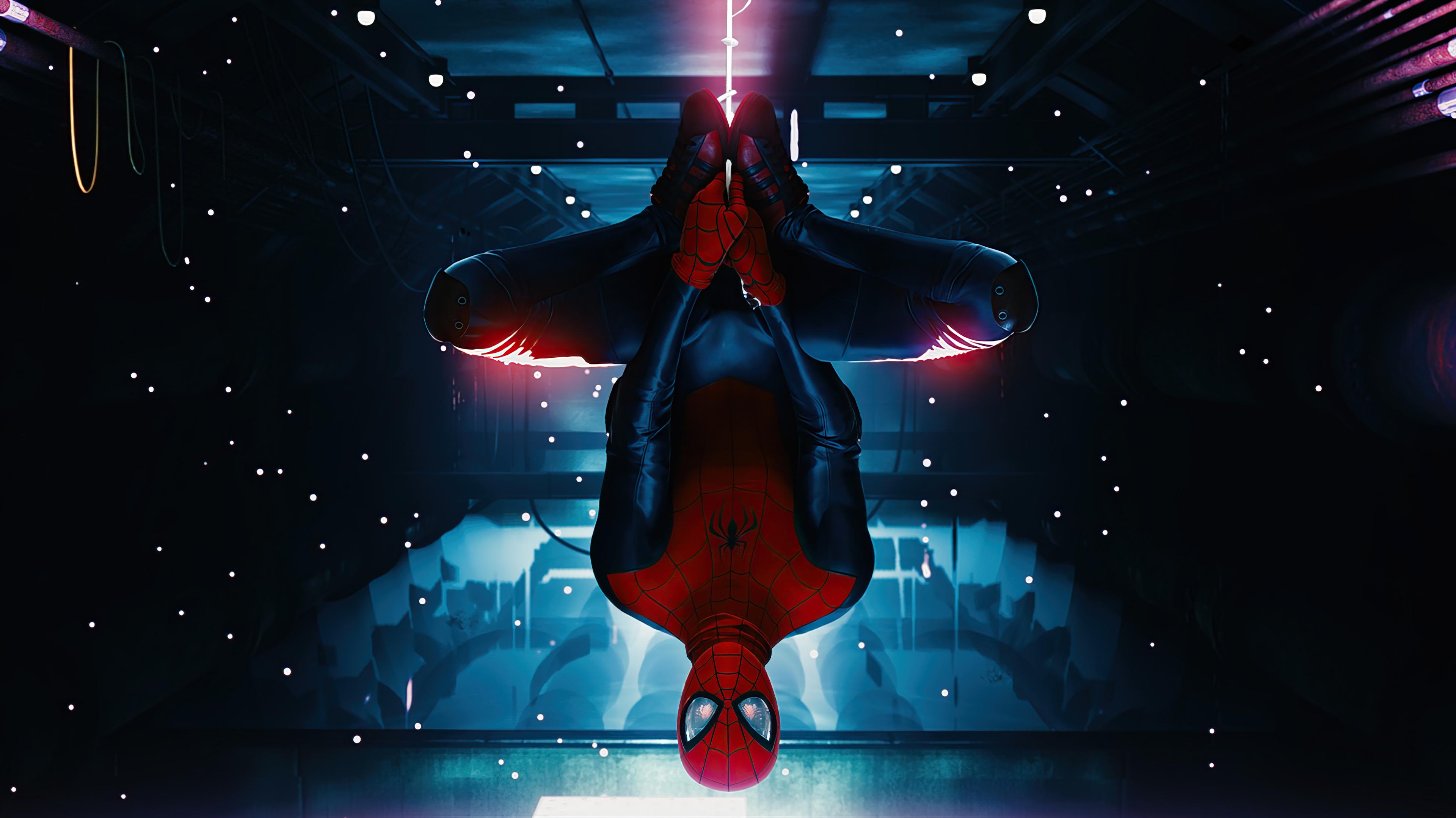 Spider Man Miles Morales Hanging Upside Down HD 4k Wallpaper