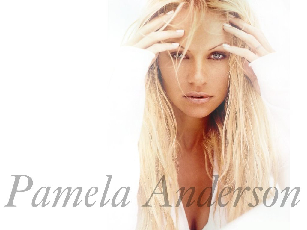 Image Gallery For Pam Anderson Wallpaper